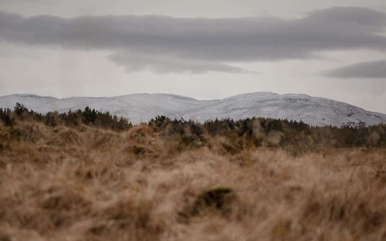 Highland Shepherd Huts เนธีบริดจ์ ภายนอก รูปภาพ